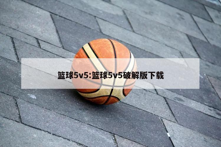 篮球5v5:篮球5v5破解版下载